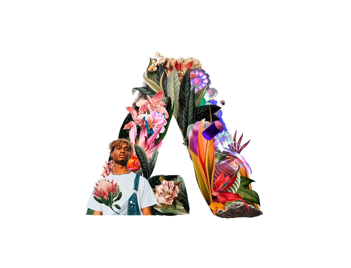 Portada Proyecto