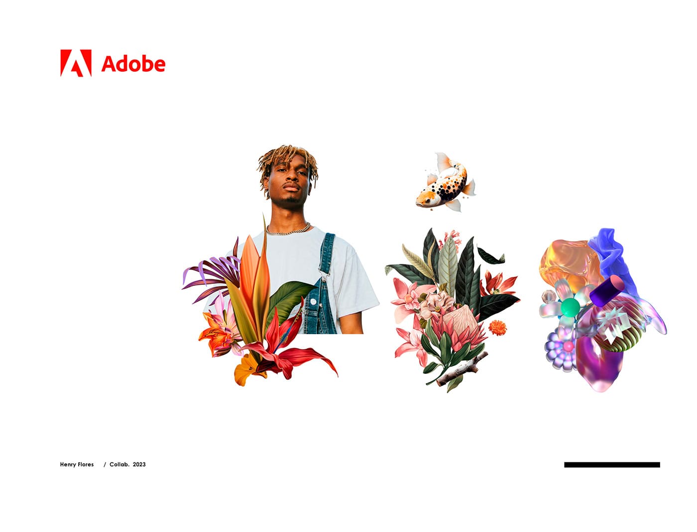 Adobe Horizontal 2